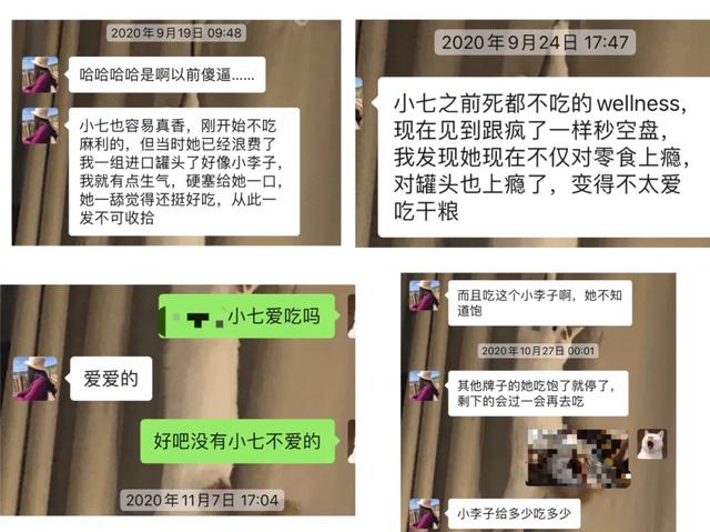 猫不吃主食罐怎么办？（猫猫不吃主食罐头）