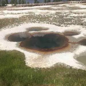 瓜地五绝云顶湾流、艾文老大爷、盼盼凯文和扬子哥