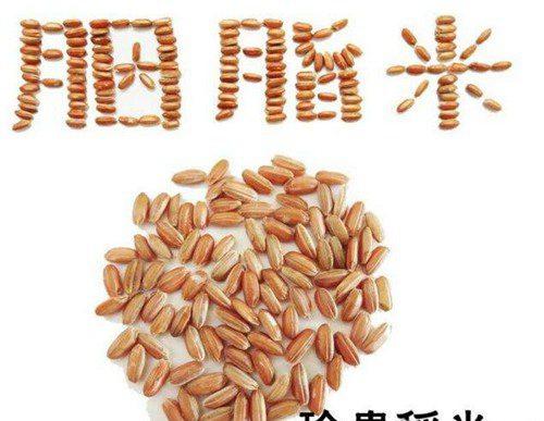 世界上最贵的米（世界最贵大米多少钱一斤）