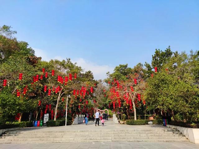 留在惠州过大年，罗浮山的夜色太撩人了