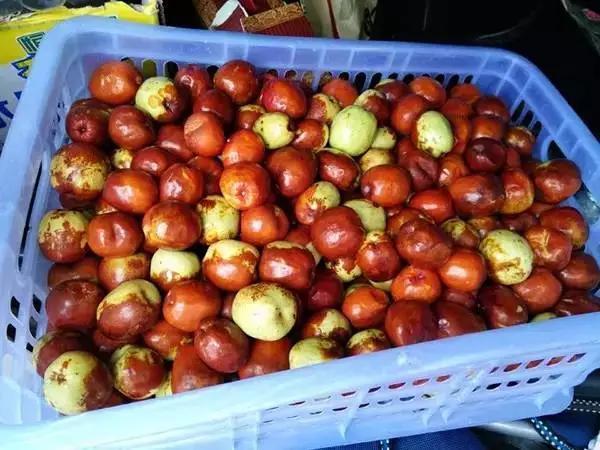 糖精枣_警惕 | 海南查获3吨“糖精枣” 食用恐伤肝肾 如何辨别？