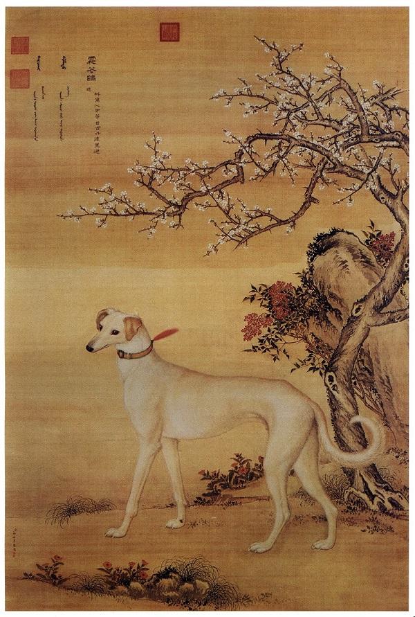 陕西细犬_鉴赏｜郎世宁画笔下的中国猎犬（郎世宁画犬图）