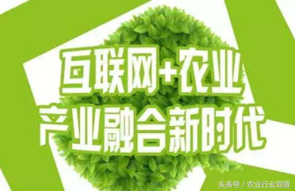 速看！互联网+农业的8大创业方向（农业将成为互联网创业的一个重要风口）