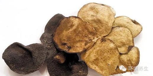 百年陈皮，千年人参!正宗陈皮制法绝招（千年人参百年陈皮 一两陈皮一两金）