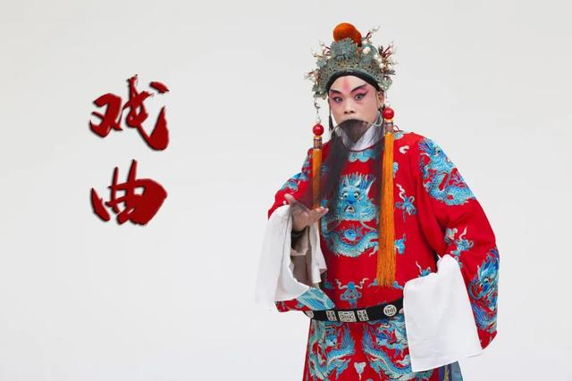 中国的戏曲_生旦净丑竞风流——中国戏曲现状观察（生旦净丑是中国戏曲京剧的四大行当）