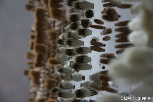 毛笔掉毛怎么办？（毛笔掉毛怎么处理）