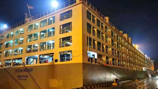 澳牛_2020首艘万头澳牛到达天津港，创国内单批进口种牛最大数量