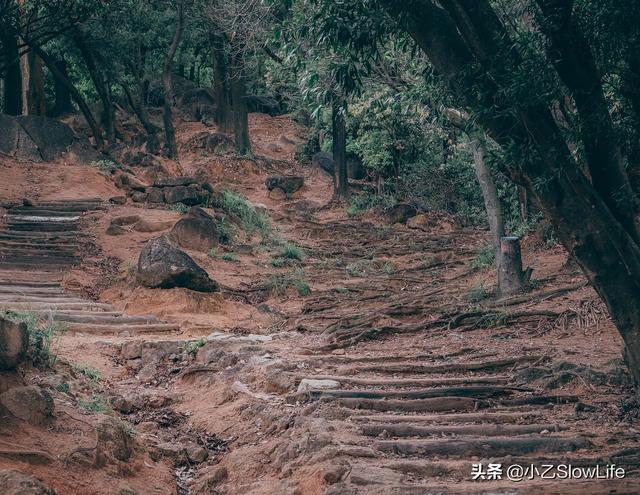 深圳市区里最好的徒步路线——梅林山郊野径（深圳梅林山公园徒步路线）