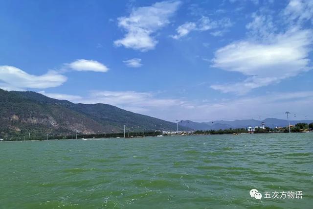 云南土著鱼类，吃过三种算你狠（云南四大土著鱼）
