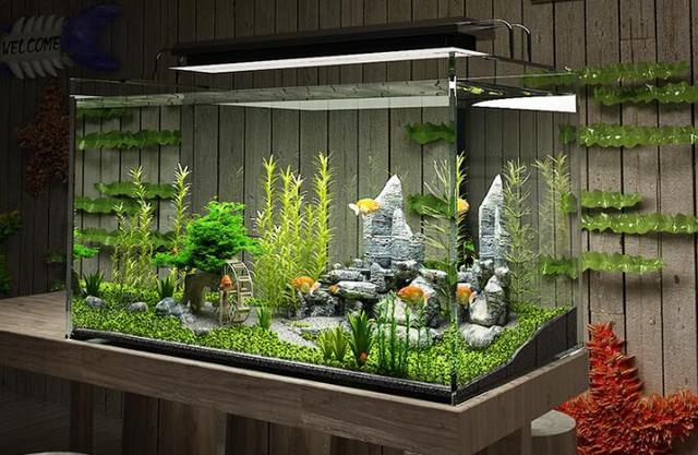 龟粮_写给养龟新手朋友，养龟不掉坑，14款标杆级养龟用品推荐（新手推荐养的龟）