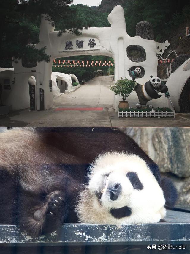 旅行攻略｜探秘佛坪熊猫谷（去佛坪熊猫谷）