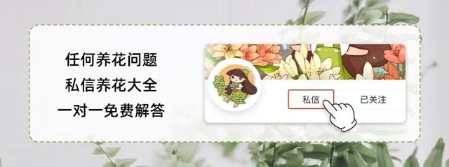 2种水果长得像是“双胞胎”，吃的人很难分清，你能分清吗？（两种水果很像）