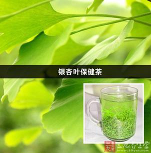 银杏叶保健茶（银杏养生茶）