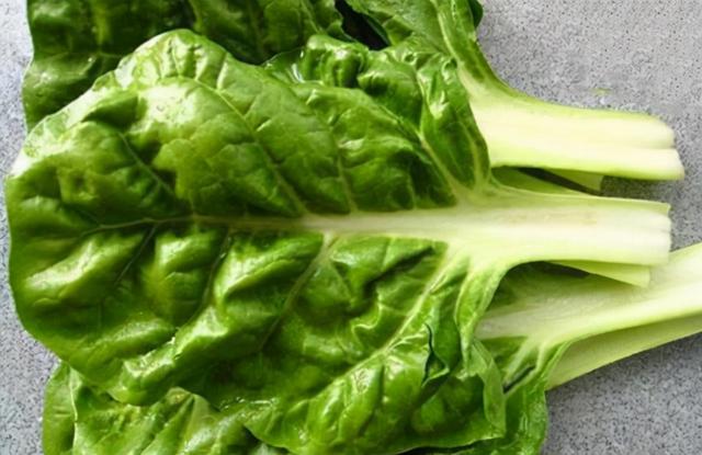 牛皮菜图片_牛皮菜：菜叶厚如牛皮，曾是猪的好饲草，如今成稀罕菜比白菜还贵