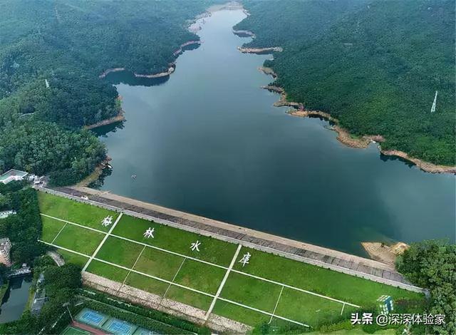 深圳最包容的地方是什么？（深圳下梅林水库）
