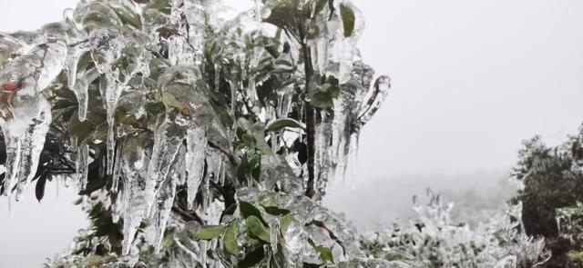 惠州罗浮山惊现雾凇冰挂，宛如冰雪世界