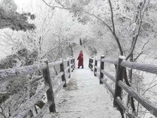 天气预报：新一轮特大暴雪连下7日，最寒冷的春天来了？（年初的疫情到年末的大雪）