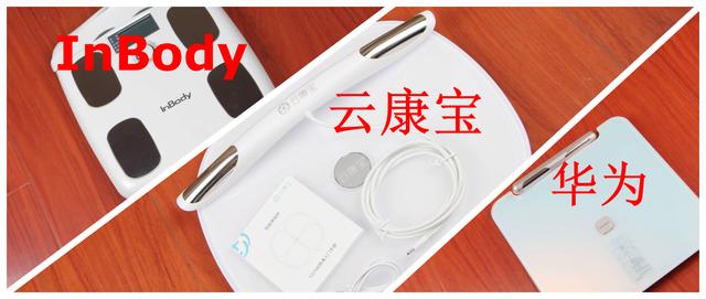 体脂秤哪个品牌好_三款八电极体脂秤怎么选？（四电极和八电极体脂秤对比）