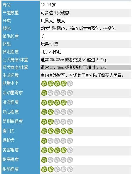 约克夏犬：待我长发及地，你养我可好？（成犬约克夏）