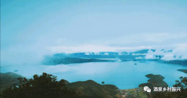 乡村振兴大赛道，8个创业方向，每一个领域都值得深耕（乡村振兴创业大赛好的题材）