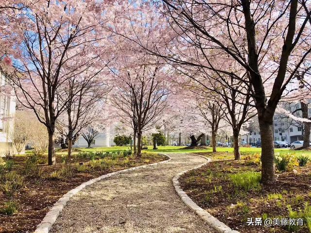 备受推崇的圣地亚哥大学到底是什么样的？（圣地亚哥相当于国内什么大学）