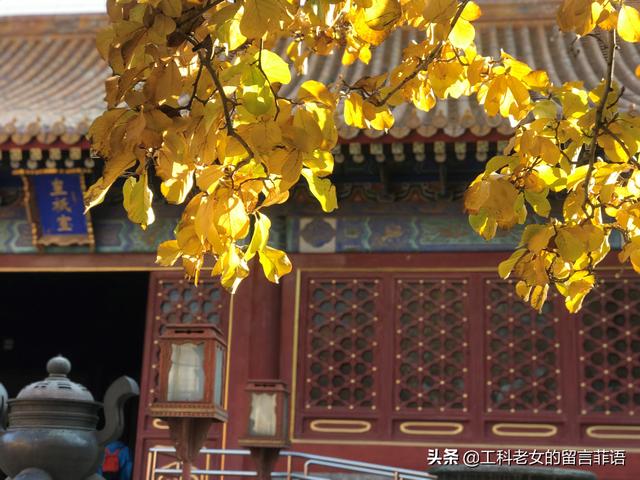 这个秋，走进地坛公园（地坛公园的秋景）