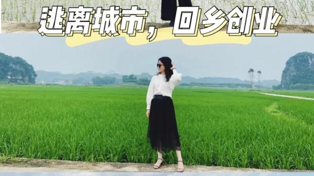 大学生回到农村该怎么创业？（农村大学生回家创业做什么）