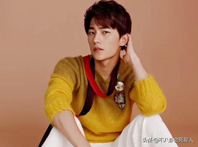 长得挺帅，却没有“荷尔蒙吸引力”，这7位男星帅得毫无灵魂（有气质的男星）