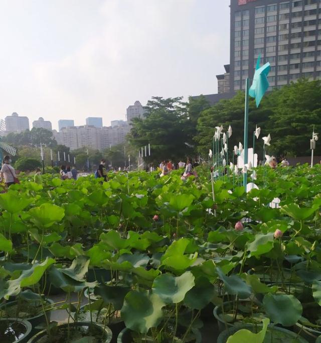 知道这5个励志创业故事，对你有什么启发和帮助？（知道这5个励志创业故事,对你有什么启发和帮助呢）