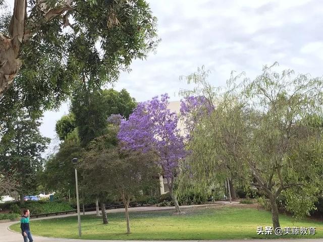 中国留学生开扒圣地亚哥州立大学（在圣地亚哥的大学）
