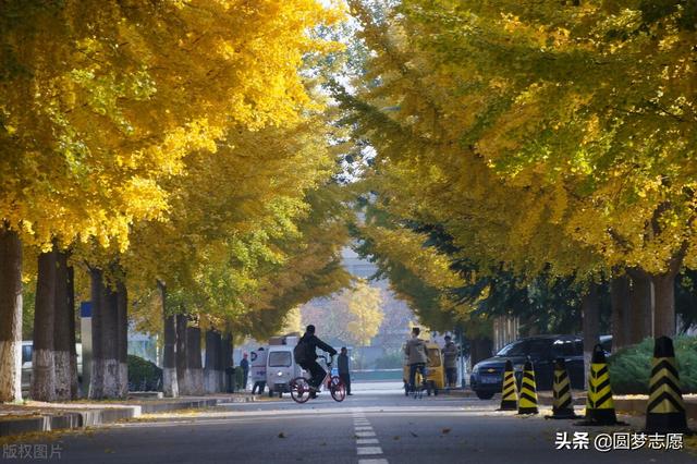 北京人眼里的大学排名（按2021年高考投档线排序）（北京2021高校最低投档线排行）