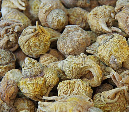 玛咖粉的功效与作用_玛卡不好？为何能从普通食品升级为保健产品（玛卡是食品吗）