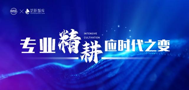 湖北襄阳童泰孕婴连锁总经理童朝辉：错位竞争，在趋势中精耕