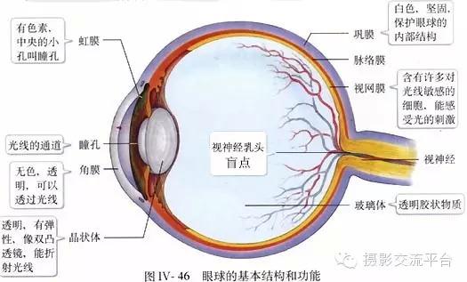 人的眼睛相当于什么参数的镜头（人的眼睛是什么镜头）