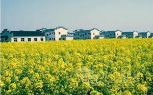 湖北省“荆门”概述（湖北荆门百度百科）