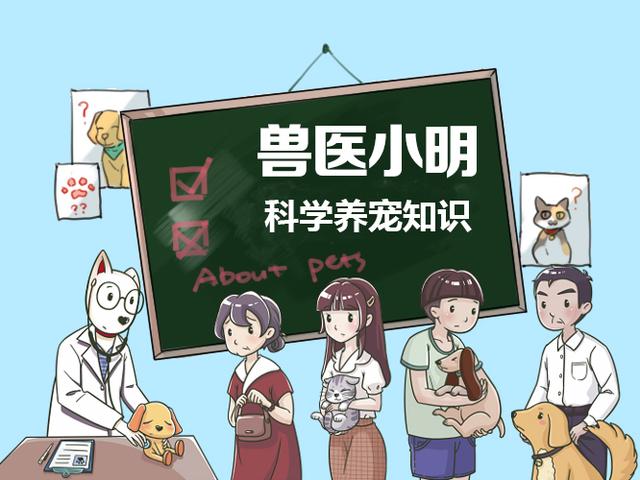 狗狗睡觉时会做梦吗？（狗睡觉做梦有什么表现）
