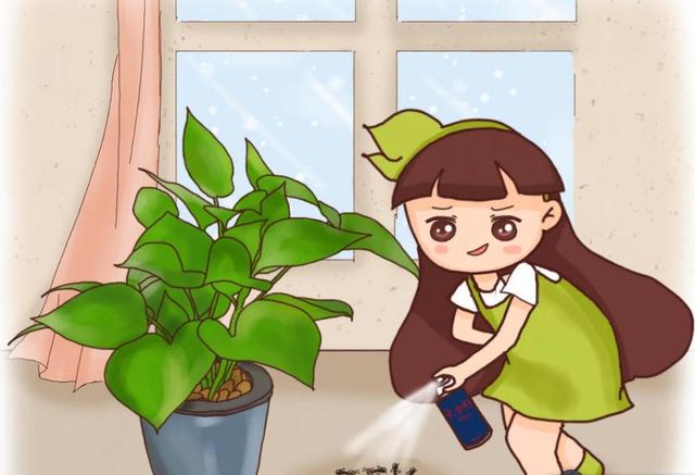 蚂蚁粘在花卉上，喷药又不放心，弄点他们就能消灭（花卉蚂蚁防治）