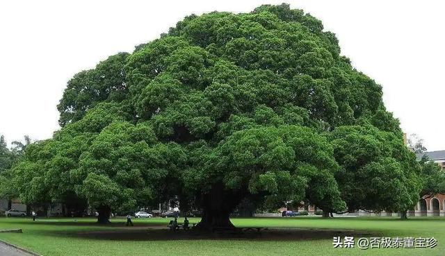 今日投资思虑之十六：为什么说投资最终投的是自己？（我对投资的思考 豆瓣）