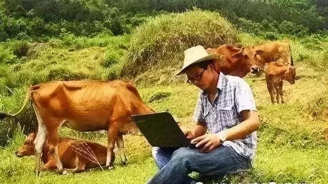 回农村，你准备好了吗？（农村返乡创业做什么好）