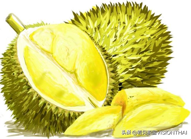 认识13种泰国水果：山竹、榴梿、 蛇皮果、木鳖果、红毛丹…（泰国蛇皮果的功效与作用）