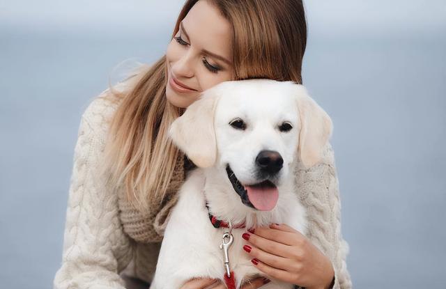 狗咬胶_新手养狗须知，别乱买乱花钱了（买狗容易养狗难）