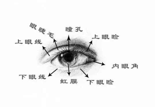 这个流泪的眼睛画的也太好了吧（眼睛的泪水怎么画）