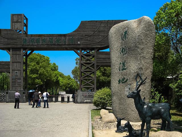 坐摇橹船听桨声欸乃，游溱湖国家湿地公园，看传说中的“四不像”