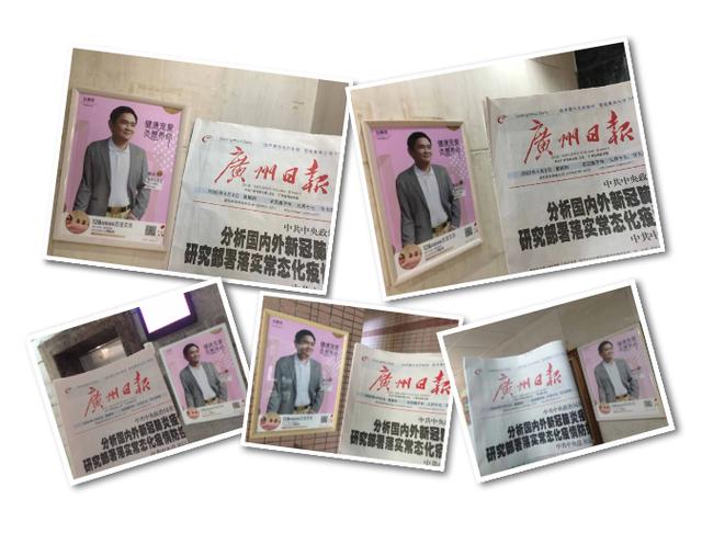 动静界实力见证，彰显品牌力量！