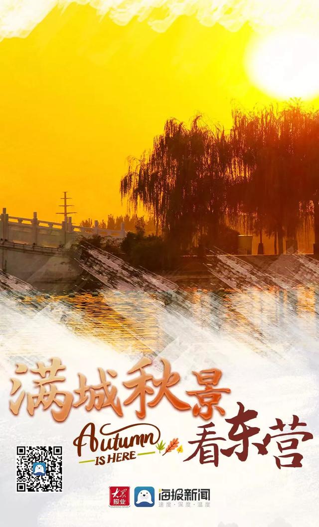 满城秋景看东营（满城秋景看东营!这些美景千万不要错过什么意思）