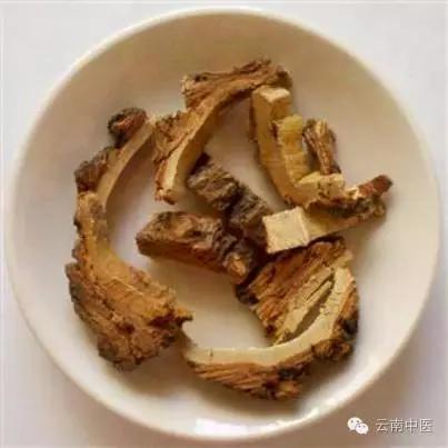 椿皮_治疗赤白带下、湿热泻痢、崩漏的香椿树皮是被臭椿气炸裂的