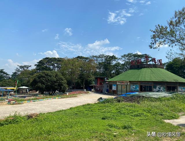 在东莞松山湖，有个大型花卉主题休闲胜地，那里百花齐放美不胜收（东莞松山湖赏花）