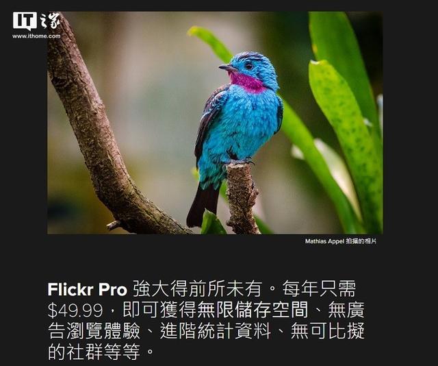 充钱！Flickr图库1TB免费容量已不复返（flickr保存图片）