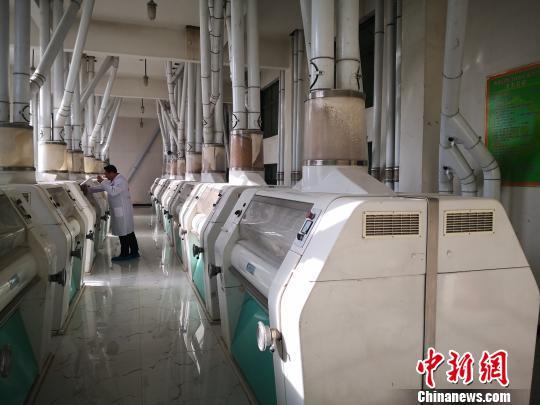 民营企业家返乡创业扶贫：“一个人的富裕不是富裕”（贫困户自主创业）