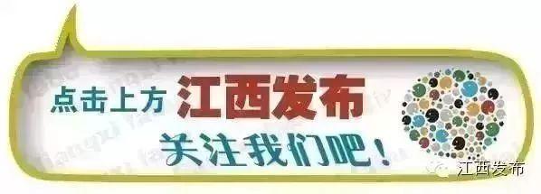 【聚焦】福利来啦
